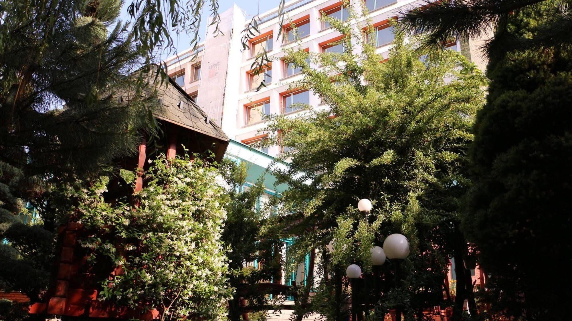 Hotel Carpati Baia Mare Extérieur photo